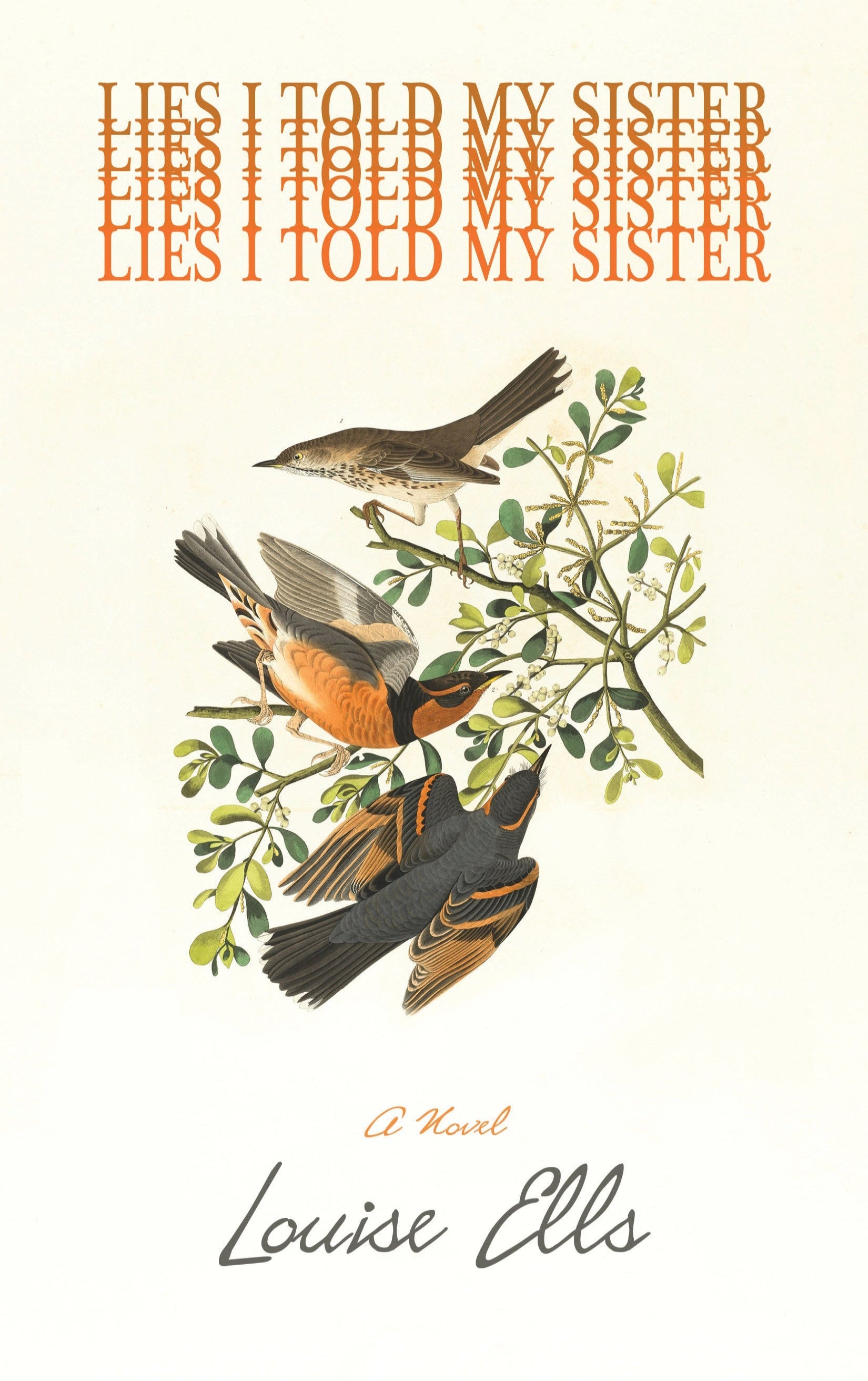 Lies I Told My Sister