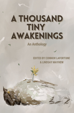 A Thousand Tiny Awakenings